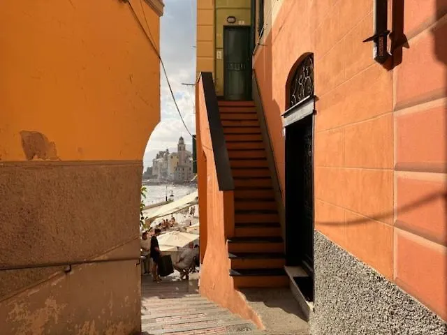 Appartamento - Il Caruggio Di Mirella - Liguria Holidays *